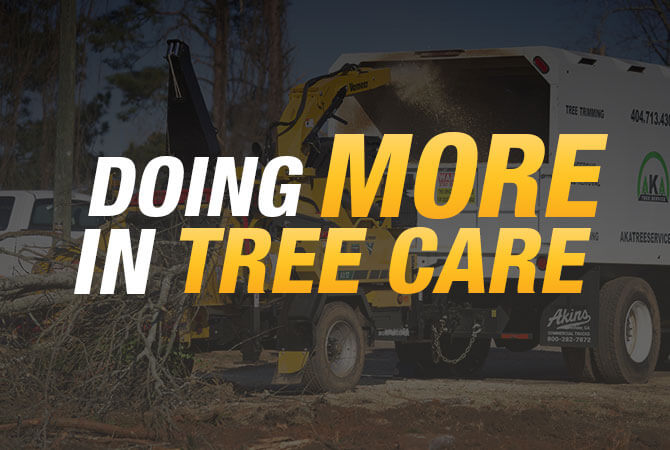 Tree care video
