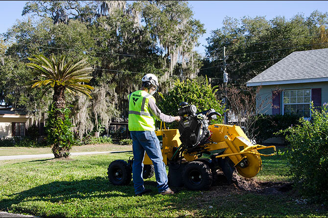 SC362 Stump Cutter