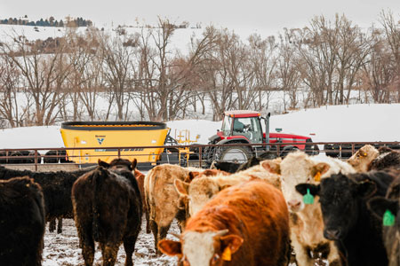 Low-rate financing and cash-back offers available on vertical mixers and feed wagons