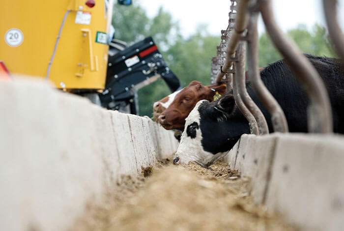 Lean farm management helps improve vertical mixer efficiency