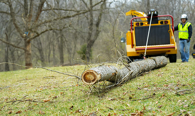 Vermeer BC1200XL Wood Chipper with Gas Engine for Landscaping
