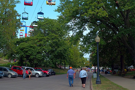 Iowa State Fair trees