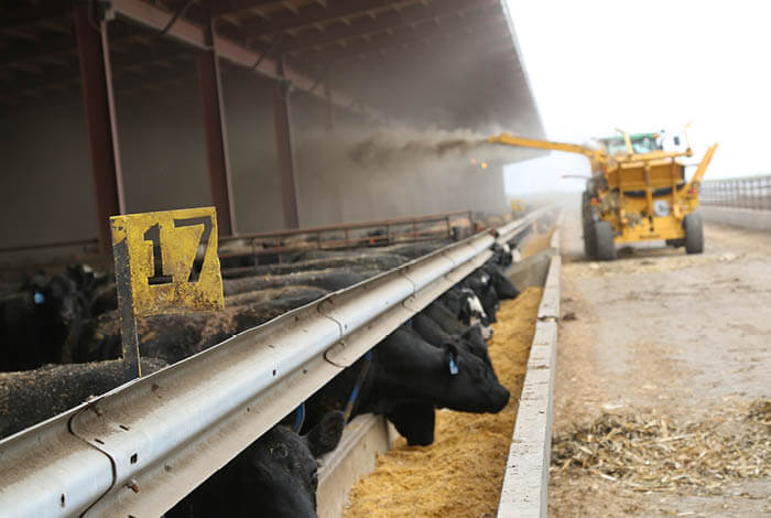 Best bedding practices