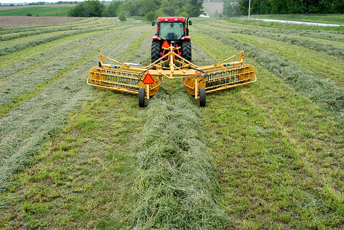 Which rake makes the best windrow